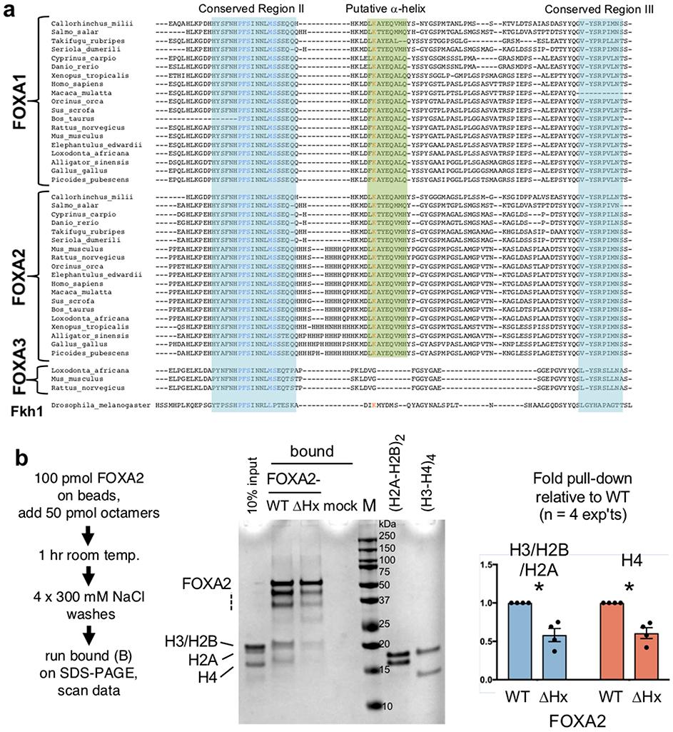 https://cdn.ncbi.nlm.nih.gov/pmc/blobs/12d8/7901023/45f0a5f1b567/nihms-1562321-f0008.jpg