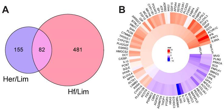 https://cdn.ncbi.nlm.nih.gov/pmc/blobs/12e0/12385640/6c171ff5292f/genes-16-00984-g002.jpg