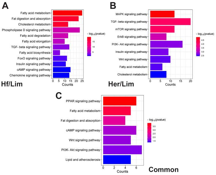 https://cdn.ncbi.nlm.nih.gov/pmc/blobs/12e0/12385640/ffd356a50a51/genes-16-00984-g004.jpg