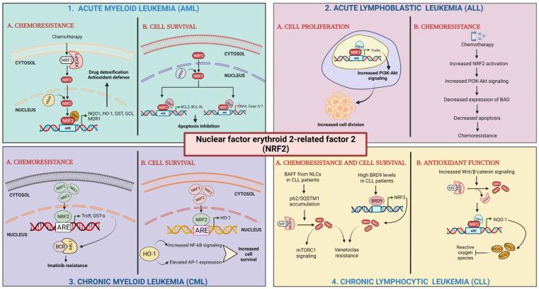 https://cdn.ncbi.nlm.nih.gov/pmc/blobs/12eb/12110329/e4d2db7658e8/cells-14-00713-g008.jpg