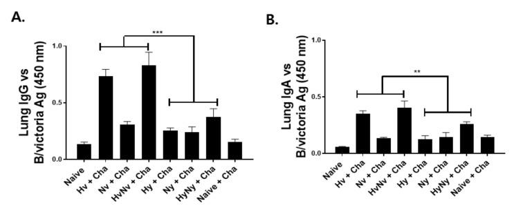 https://cdn.ncbi.nlm.nih.gov/pmc/blobs/12f2/9313027/42b0f3c7fd82/biomedicines-10-01618-g003.jpg
