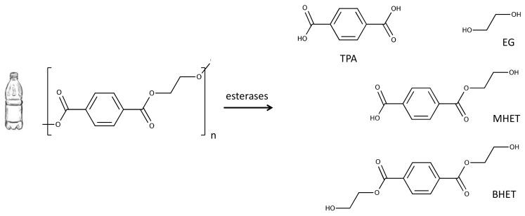 https://cdn.ncbi.nlm.nih.gov/pmc/blobs/1310/6562992/a87ec3c3acab/genes-10-00373-g001.jpg