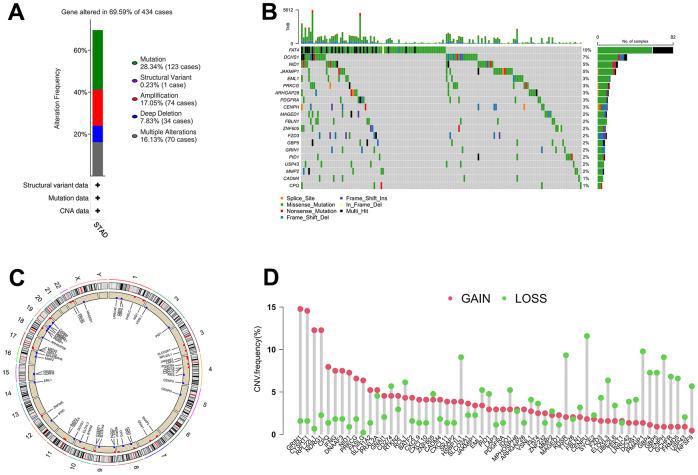https://cdn.ncbi.nlm.nih.gov/pmc/blobs/132d/11315391/399bd373bdfe/aging-16-205968-g002.jpg