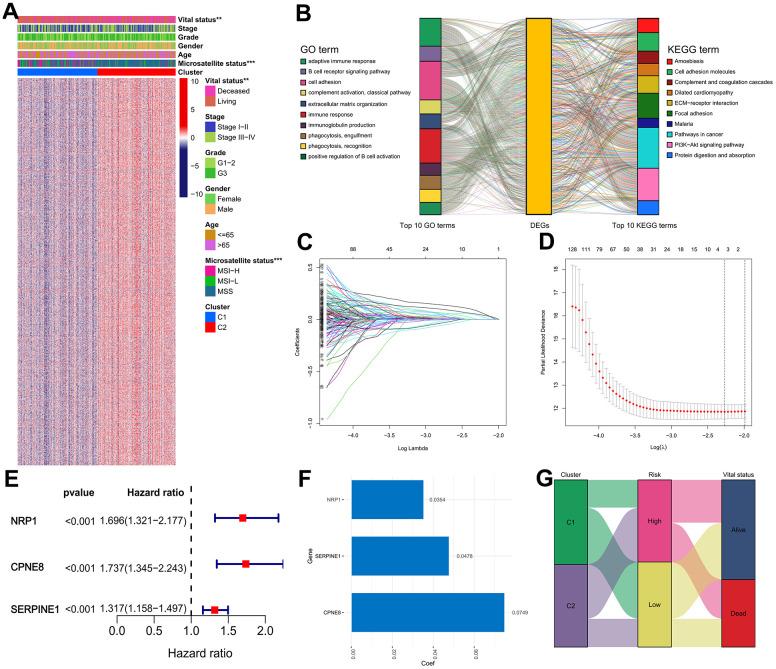 https://cdn.ncbi.nlm.nih.gov/pmc/blobs/132d/11315391/9b93339b1487/aging-16-205968-g006.jpg