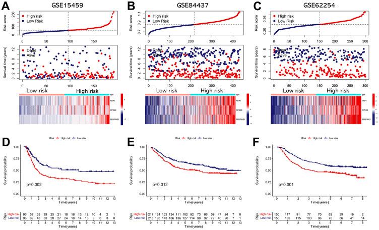 https://cdn.ncbi.nlm.nih.gov/pmc/blobs/132d/11315391/9feb09a5d772/aging-16-205968-g008.jpg