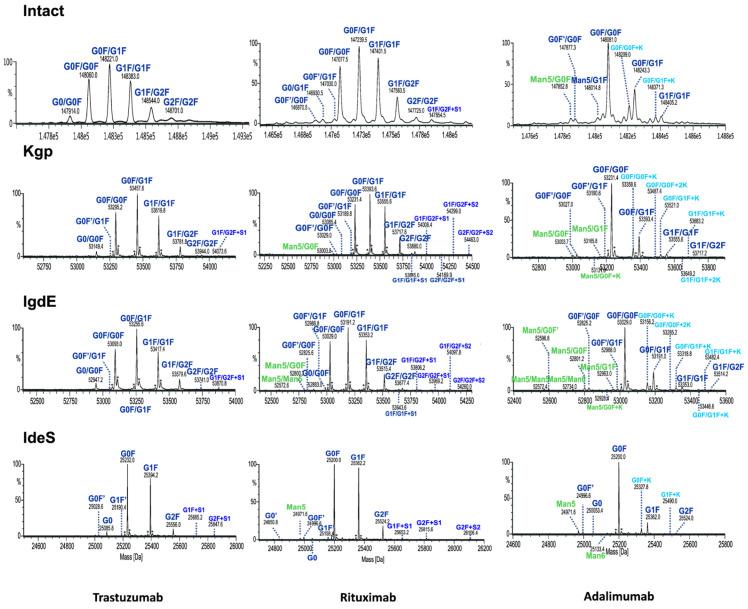 https://cdn.ncbi.nlm.nih.gov/pmc/blobs/1356/11348383/cf6cb56e0c69/antibodies-13-00066-g006.jpg