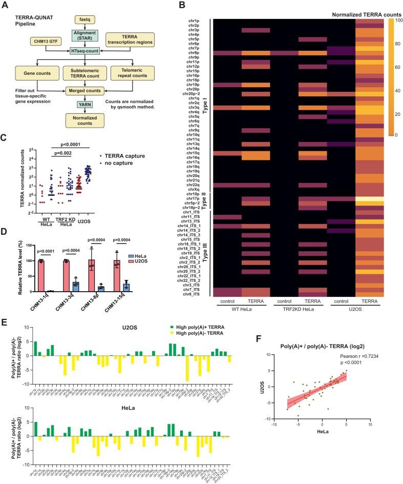 https://cdn.ncbi.nlm.nih.gov/pmc/blobs/135a/12242772/0ff173249dd3/gkaf597fig4.jpg