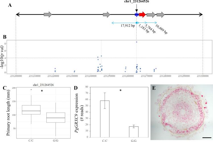 https://cdn.ncbi.nlm.nih.gov/pmc/blobs/1363/10945517/d2de7032f9fe/elife-86169-fig3.jpg