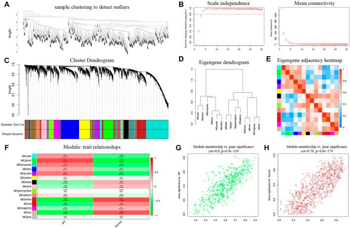 https://cdn.ncbi.nlm.nih.gov/pmc/blobs/1363/8406749/63fa8048bbda/fmolb-08-711239-g002.jpg