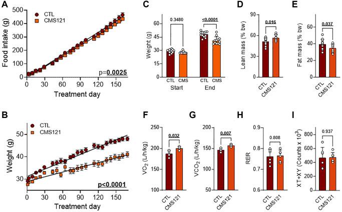 https://cdn.ncbi.nlm.nih.gov/pmc/blobs/136d/11006478/846cfae56588/aging-16-205673-g001.jpg