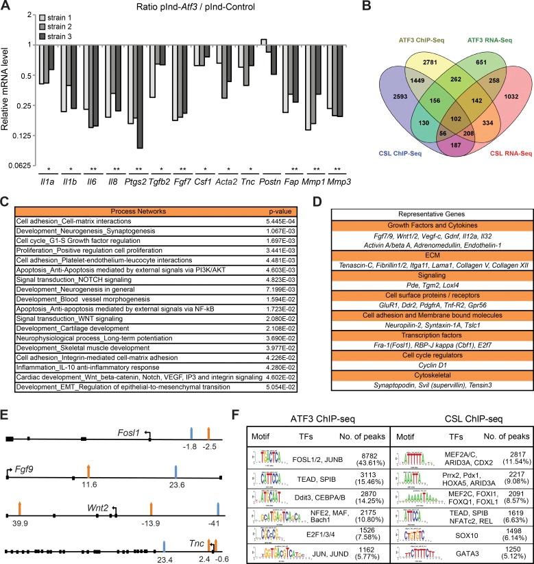 https://cdn.ncbi.nlm.nih.gov/pmc/blobs/1375/5551580/42cd8770380a/JEM_20170724_Fig3.jpg