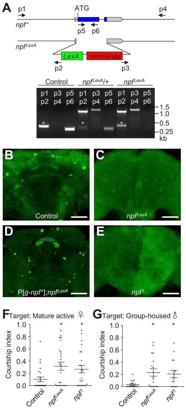 https://cdn.ncbi.nlm.nih.gov/pmc/blobs/137b/6721794/2d685f53de86/elife-49574-fig1-figsupp2.jpg