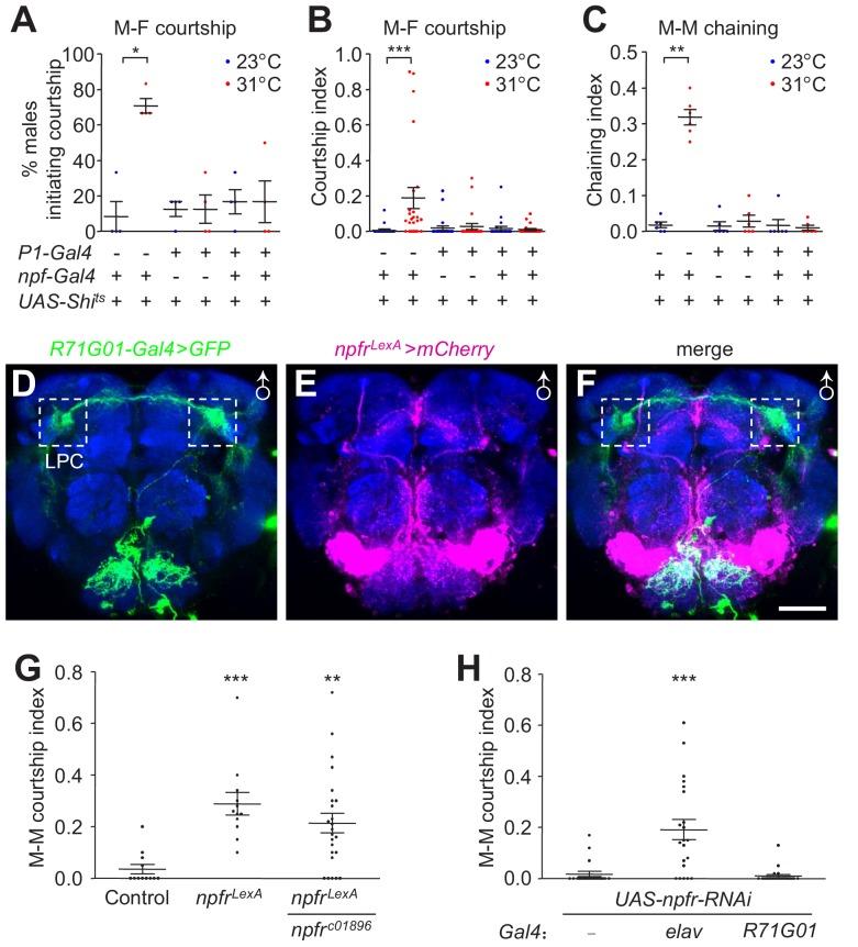 https://cdn.ncbi.nlm.nih.gov/pmc/blobs/137b/6721794/8253101597f4/elife-49574-fig7.jpg