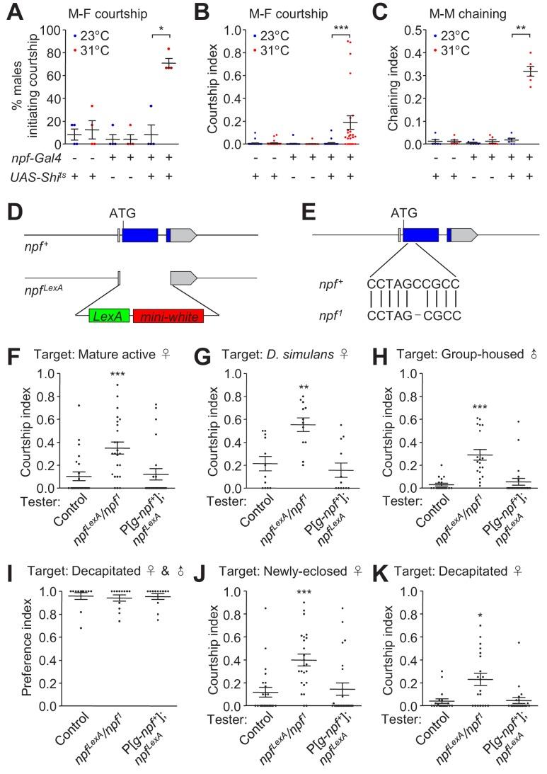 https://cdn.ncbi.nlm.nih.gov/pmc/blobs/137b/6721794/b47019997c87/elife-49574-fig1.jpg