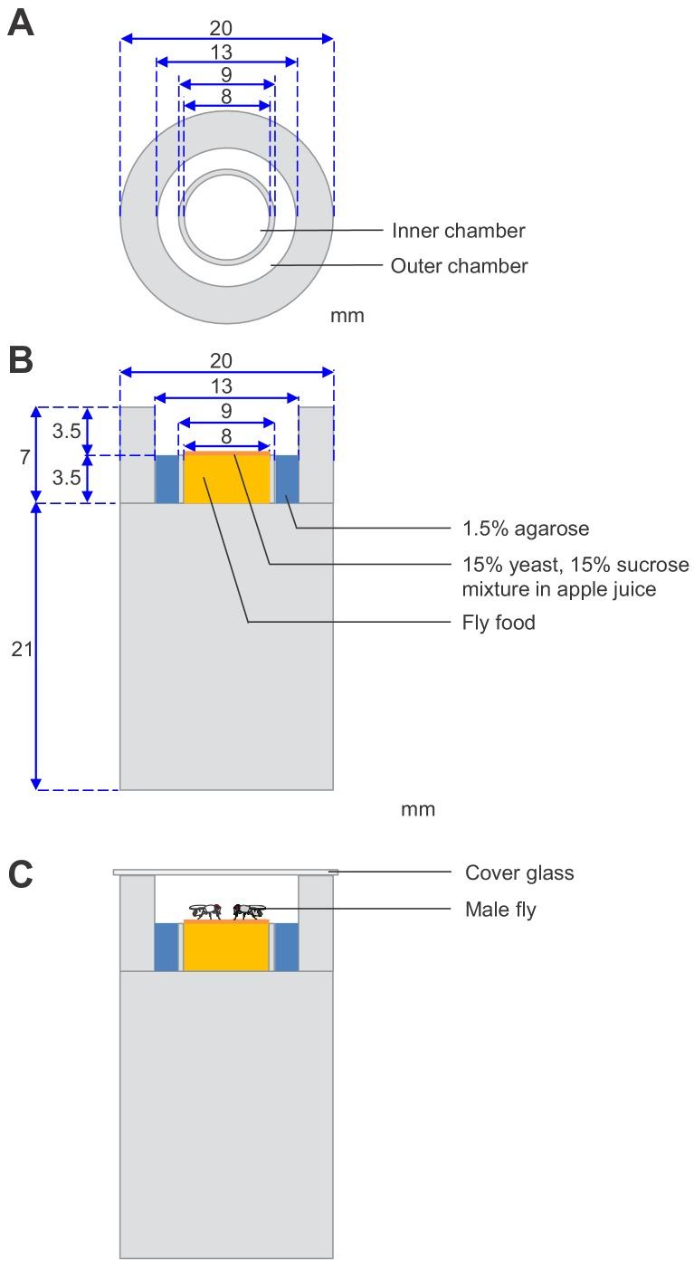 https://cdn.ncbi.nlm.nih.gov/pmc/blobs/137b/6721794/bfddaf3e0e01/elife-49574-fig1-figsupp3.jpg