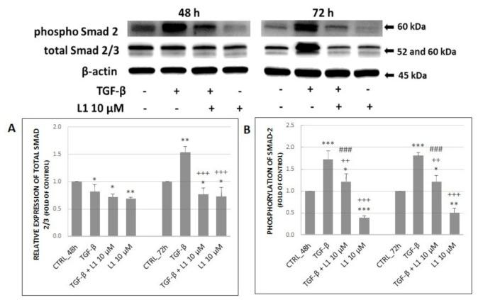 https://cdn.ncbi.nlm.nih.gov/pmc/blobs/137b/7961543/9dded6907d47/molecules-26-01356-g005.jpg