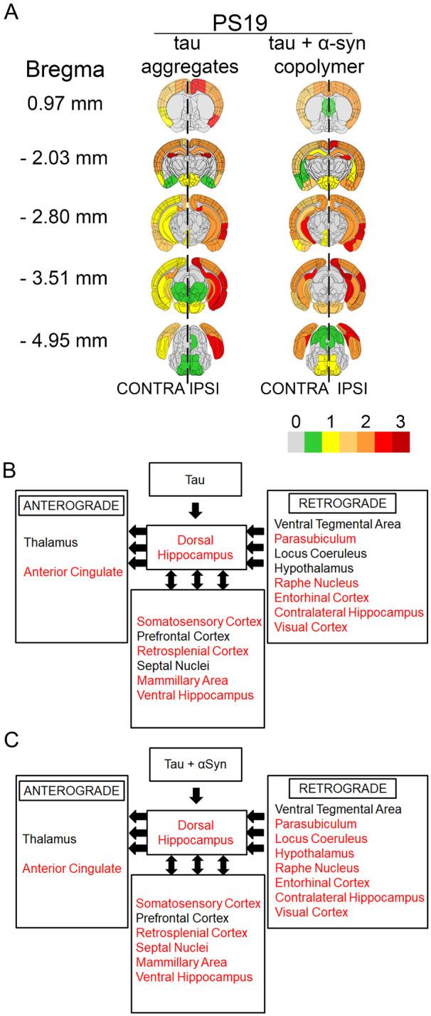 https://cdn.ncbi.nlm.nih.gov/pmc/blobs/137f/7567170/78e15e8a2661/fcaa090f4.jpg