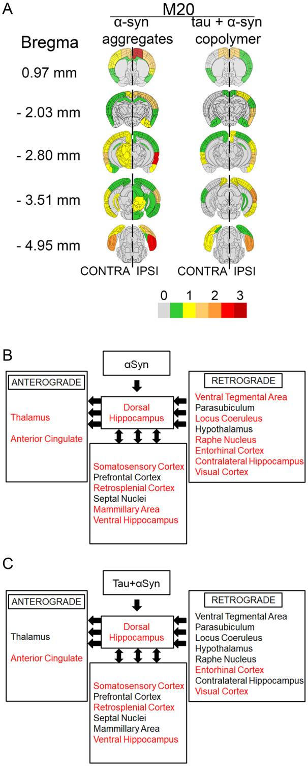 https://cdn.ncbi.nlm.nih.gov/pmc/blobs/137f/7567170/d3788a759c4a/fcaa090f6.jpg