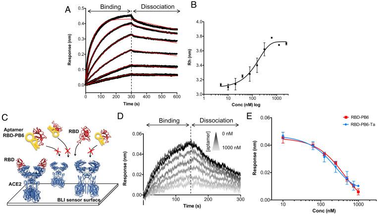 https://cdn.ncbi.nlm.nih.gov/pmc/blobs/1390/8685691/7642302b4768/pnas.202112942fig02.jpg