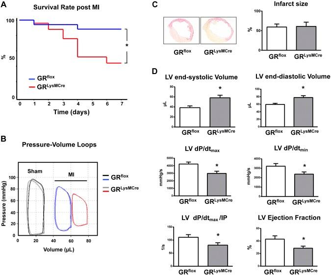 https://cdn.ncbi.nlm.nih.gov/pmc/blobs/139a/5636710/800221aad84a/fasebj201700317Rf1.jpg