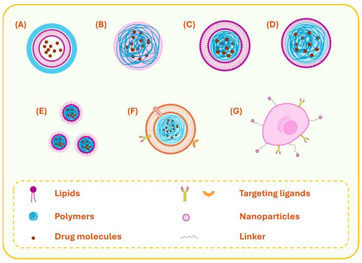 https://cdn.ncbi.nlm.nih.gov/pmc/blobs/13a7/12197309/5838412e3fb2/pharmaceutics-17-00797-g002.jpg