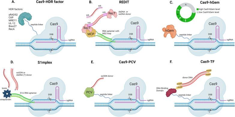 https://cdn.ncbi.nlm.nih.gov/pmc/blobs/13ab/9338592/f75b349e522e/12985_2022_1859_Fig2_HTML.jpg