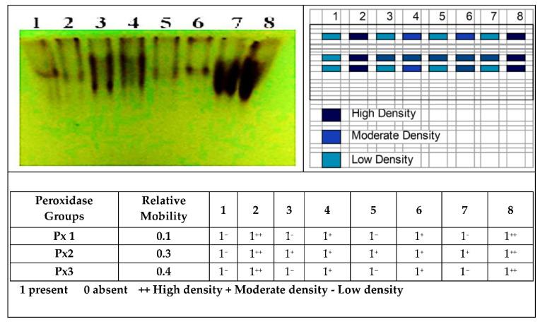 https://cdn.ncbi.nlm.nih.gov/pmc/blobs/13b4/8001679/7f3770824a39/jof-07-00195-g007.jpg