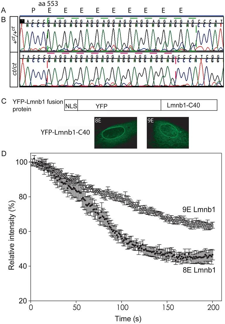 https://cdn.ncbi.nlm.nih.gov/pmc/blobs/13c1/3499363/371140b5c842/pgen.1003059.g002.jpg