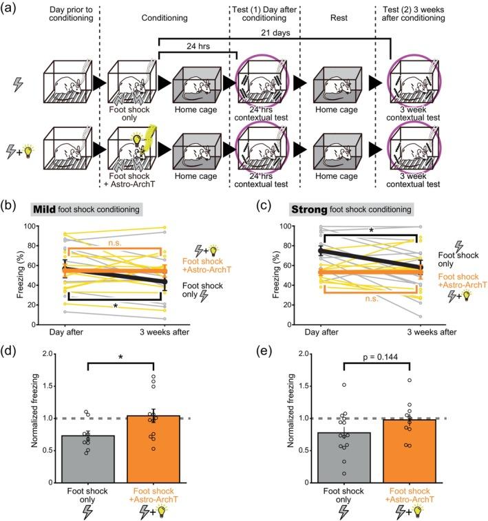 https://cdn.ncbi.nlm.nih.gov/pmc/blobs/13c9/11662981/66faa1ec29e3/GLIA-73-309-g004.jpg