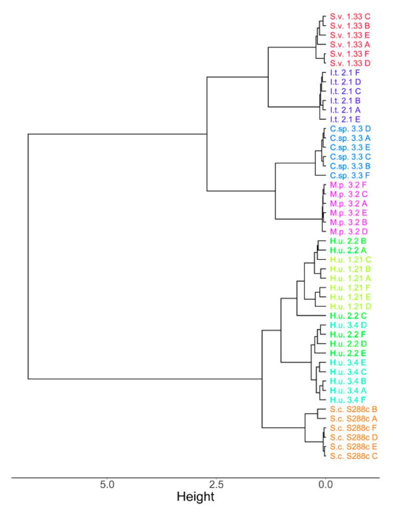 https://cdn.ncbi.nlm.nih.gov/pmc/blobs/13ec/7569767/a97ab4260d95/metabolites-10-00352-g001.jpg
