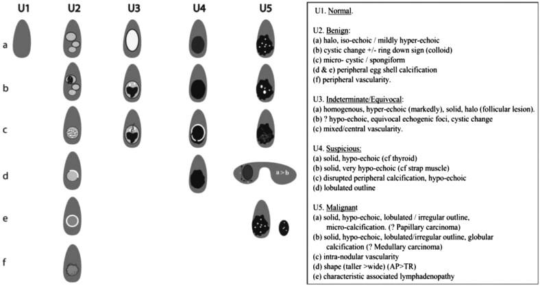 https://cdn.ncbi.nlm.nih.gov/pmc/blobs/13f3/9513650/e0b9737c93ad/ERC-22-0035fig2.jpg