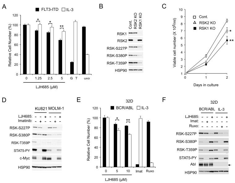 https://cdn.ncbi.nlm.nih.gov/pmc/blobs/13f8/6966435/091e22bd930a/cancers-11-01827-g002.jpg
