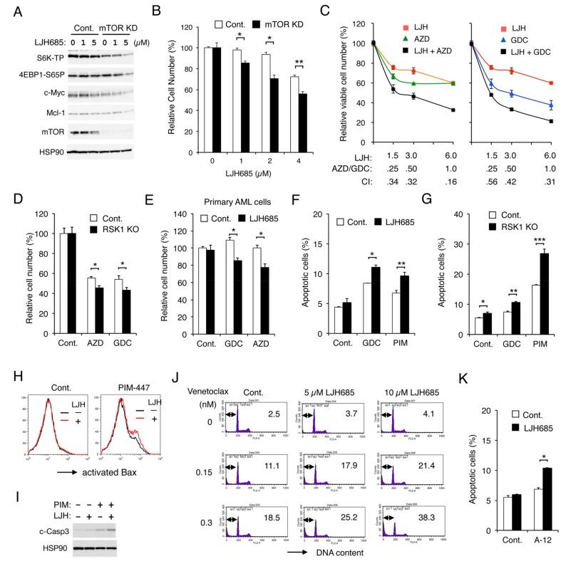 https://cdn.ncbi.nlm.nih.gov/pmc/blobs/13f8/6966435/e9d83d73f140/cancers-11-01827-g006.jpg