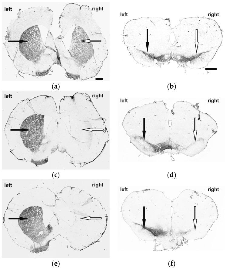 https://cdn.ncbi.nlm.nih.gov/pmc/blobs/13fa/6017015/8b143a0b371a/molecules-23-00587-g001.jpg