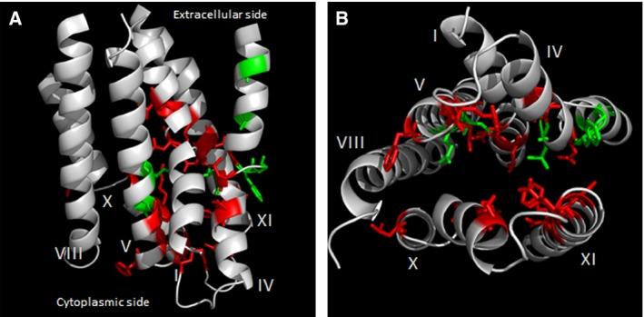 https://cdn.ncbi.nlm.nih.gov/pmc/blobs/13fc/4794783/c3f7e8eab912/FEB4-6-216-g007.jpg