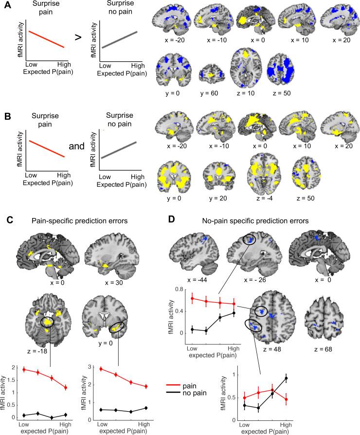https://cdn.ncbi.nlm.nih.gov/pmc/blobs/1406/9217130/15da5b6fc50d/elife-74149-fig3.jpg