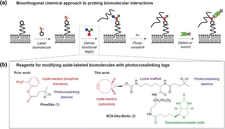 https://cdn.ncbi.nlm.nih.gov/pmc/blobs/141a/5483283/69ecc6c62c72/12953_2017_123_Fig29_HTML.jpg