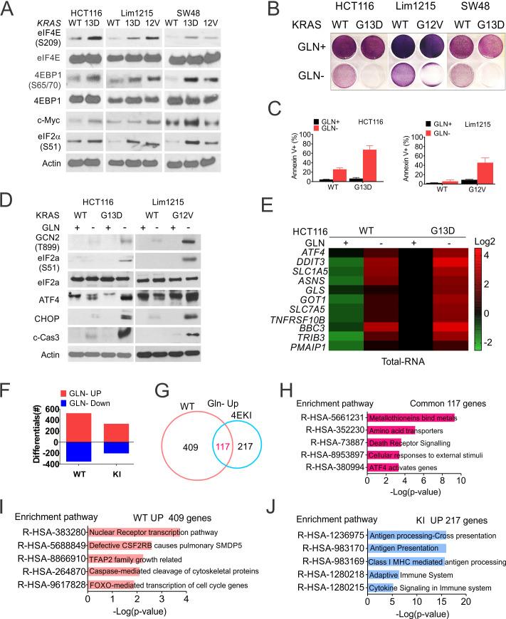 https://cdn.ncbi.nlm.nih.gov/pmc/blobs/141d/7665890/02311c16b9d0/elife-60151-fig6.jpg