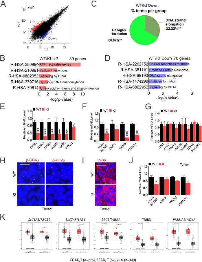 https://cdn.ncbi.nlm.nih.gov/pmc/blobs/141d/7665890/2ad3c913afa7/elife-60151-fig3-figsupp1.jpg
