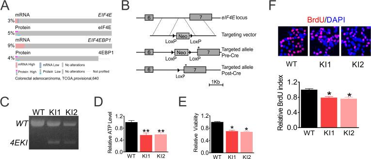 https://cdn.ncbi.nlm.nih.gov/pmc/blobs/141d/7665890/42caf191a9fa/elife-60151-fig1-figsupp1.jpg