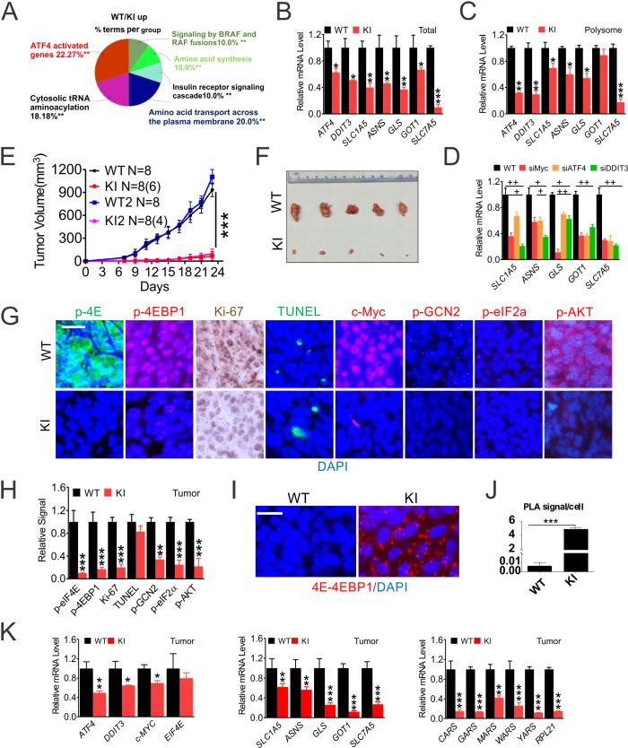 https://cdn.ncbi.nlm.nih.gov/pmc/blobs/141d/7665890/8da8c1f2869d/elife-60151-fig3.jpg