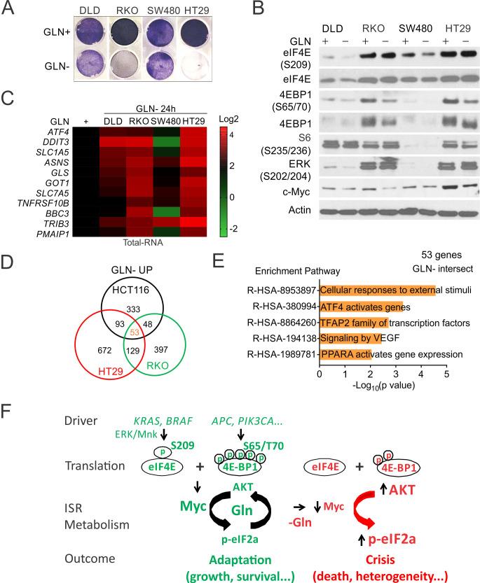 https://cdn.ncbi.nlm.nih.gov/pmc/blobs/141d/7665890/c7a7731d6941/elife-60151-fig7.jpg