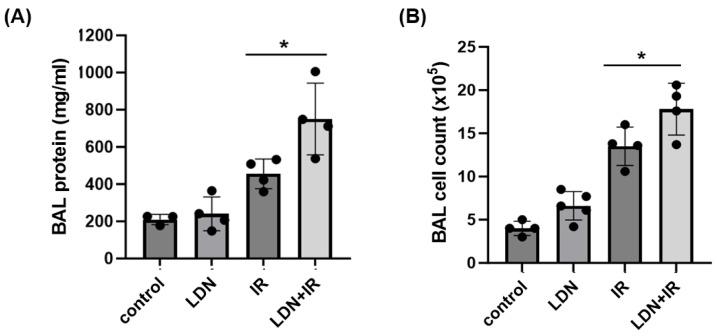https://cdn.ncbi.nlm.nih.gov/pmc/blobs/1445/10572187/0129402b2574/cells-12-02405-g006.jpg