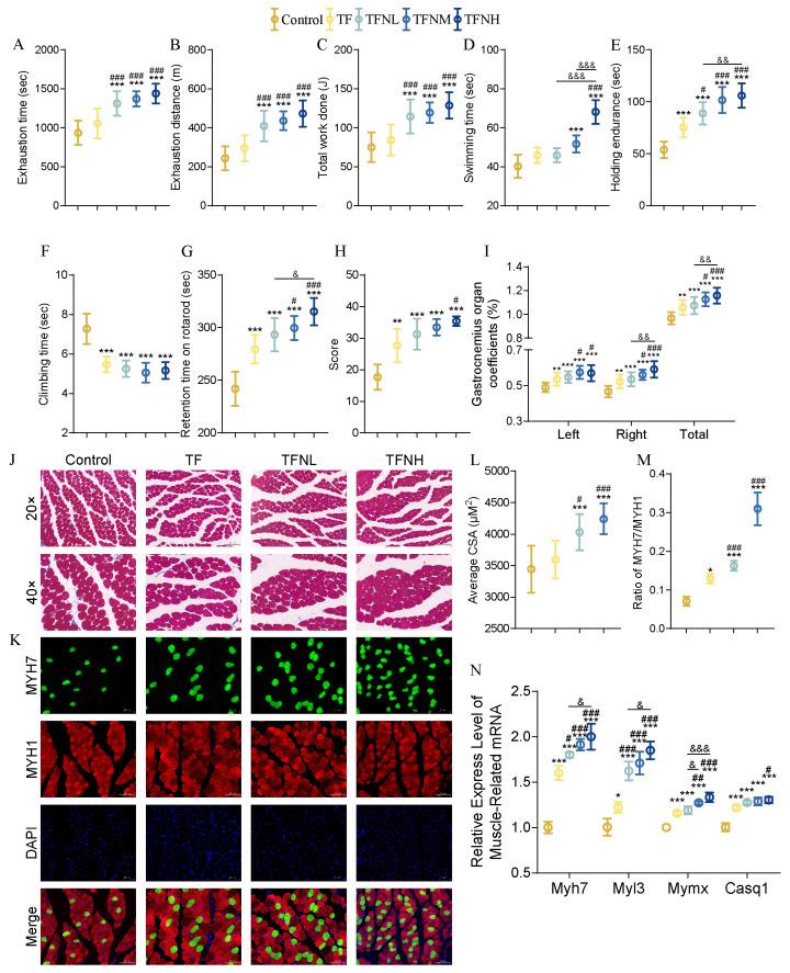 https://cdn.ncbi.nlm.nih.gov/pmc/blobs/1456/12073279/71046d0d5c34/nutrients-17-01467-g002.jpg