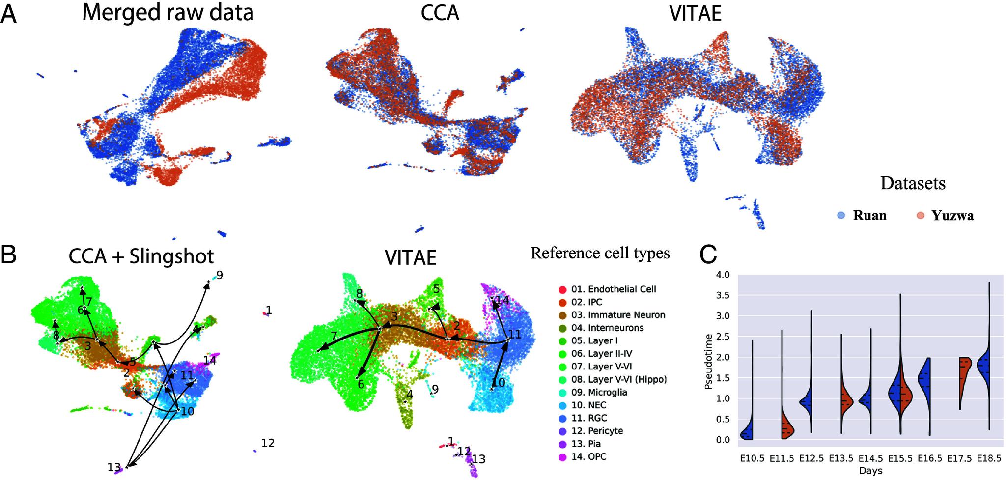 https://cdn.ncbi.nlm.nih.gov/pmc/blobs/1458/11406253/0ba268f9aa37/pnas.2316256121fig03.jpg
