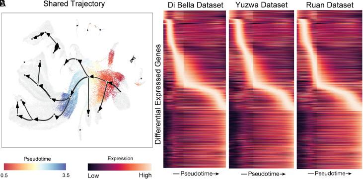 https://cdn.ncbi.nlm.nih.gov/pmc/blobs/1458/11406253/1f0c69e9cc76/pnas.2316256121fig05.jpg
