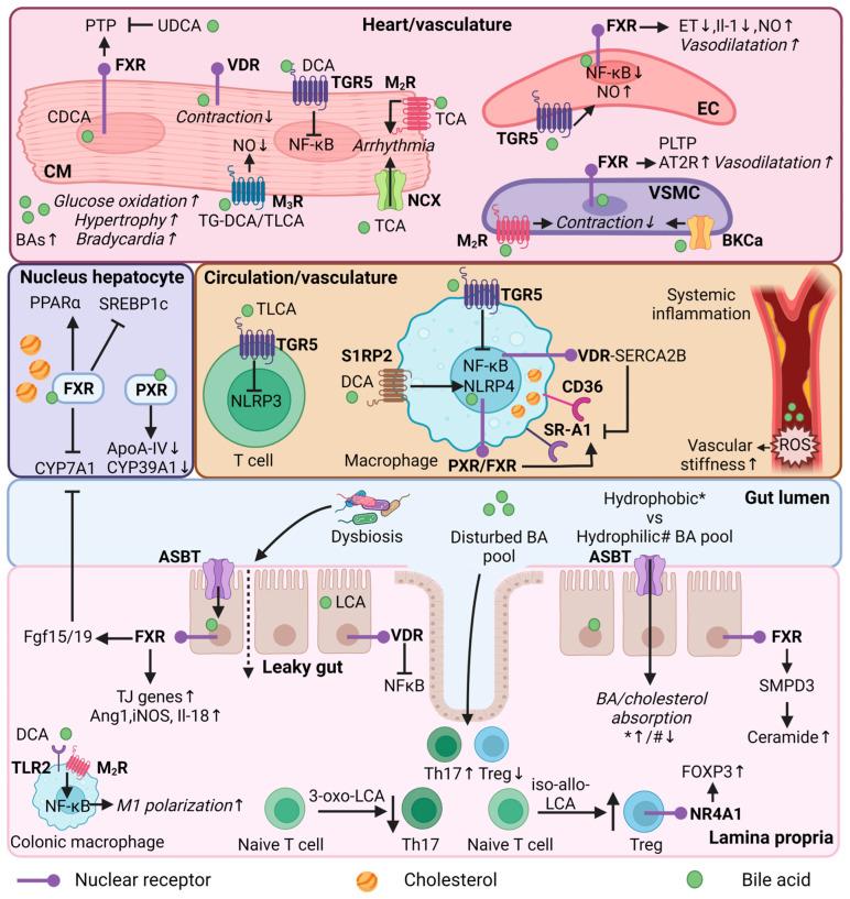 https://cdn.ncbi.nlm.nih.gov/pmc/blobs/1464/10141989/947dd4360858/nutrients-15-01850-g002.jpg