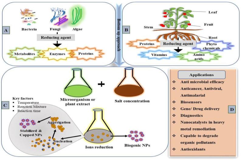 https://cdn.ncbi.nlm.nih.gov/pmc/blobs/1469/10222951/b08cf7b28ad6/nanomaterials-13-01604-g001.jpg
