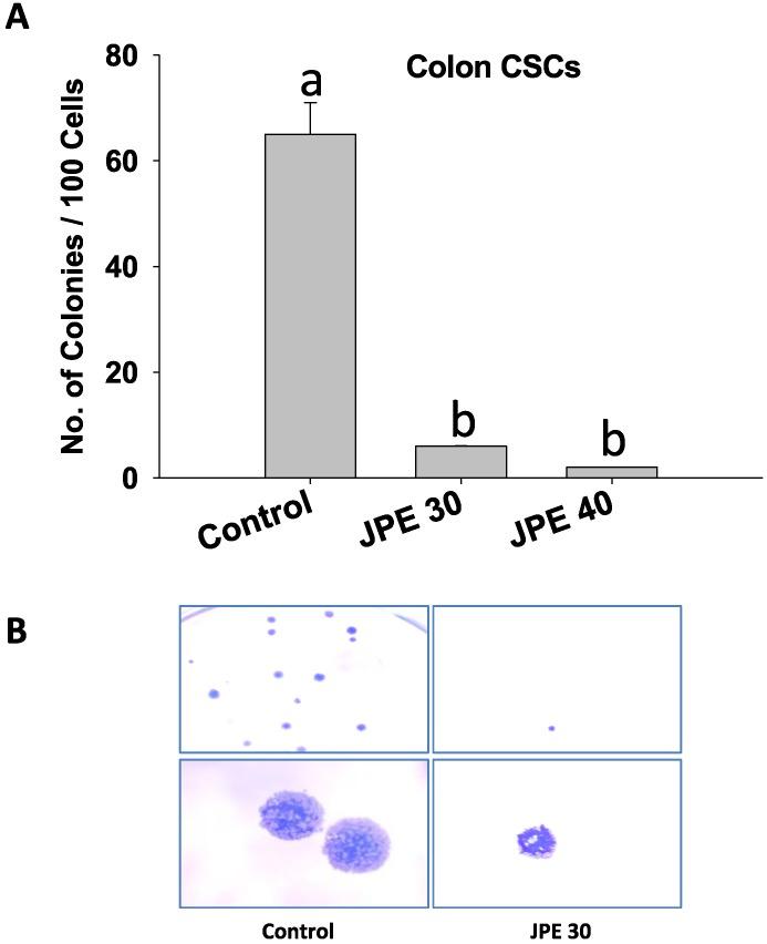 https://cdn.ncbi.nlm.nih.gov/pmc/blobs/146a/4810113/b08ccbc4962e/cancers-08-00029-g005.jpg