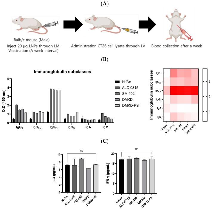https://cdn.ncbi.nlm.nih.gov/pmc/blobs/1486/11475142/db4de9fe91ef/cancers-16-03428-g008.jpg